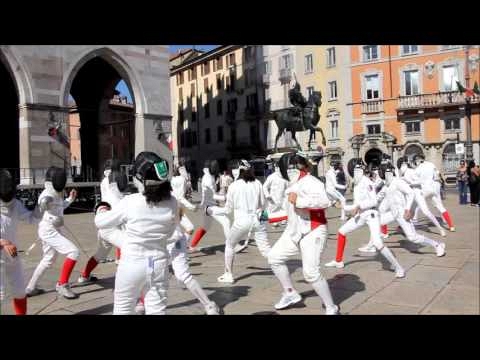 video-screenshot/fencing-mob-pc_1601303785.jpg